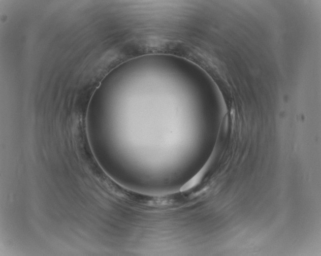 X0000073850225200608101233