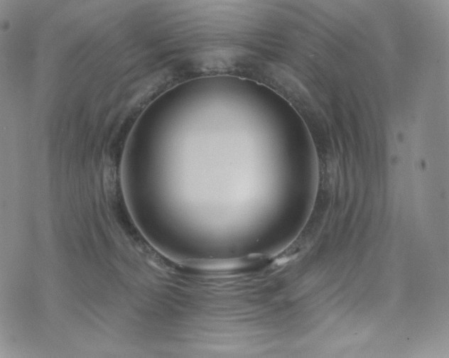 X0000073850228200608101233