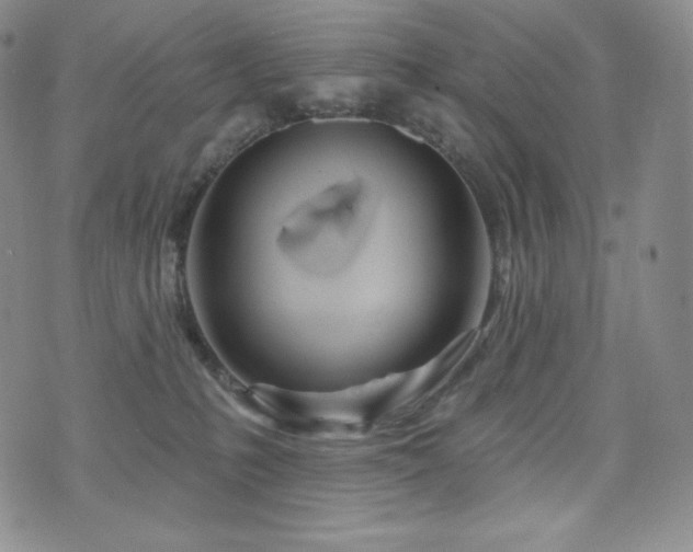 X0000073850231200608101233