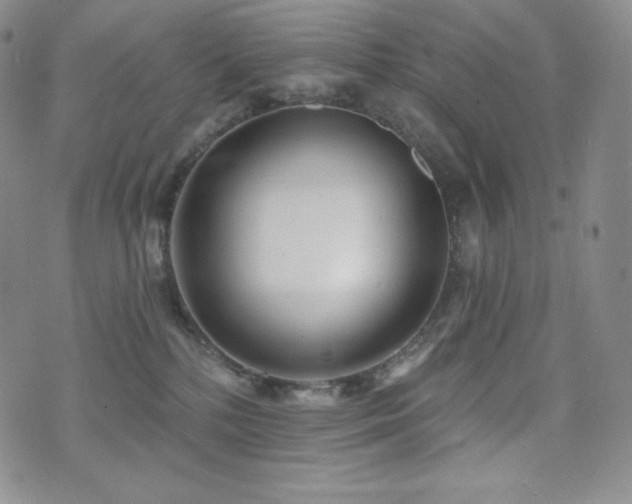 X0000073850232200608101233