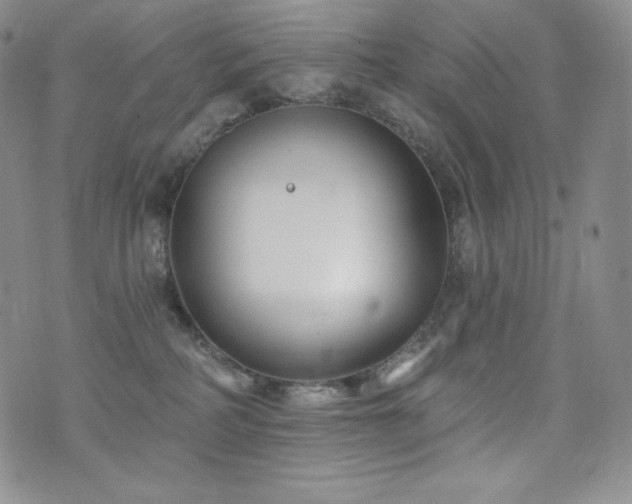 X0000073850234200608101233