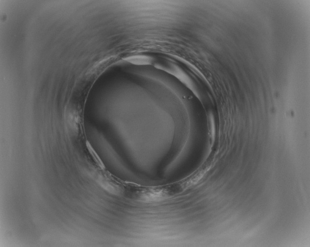 X0000073850235200608101233