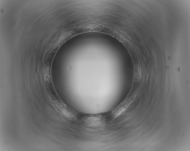 X0000073850236200608101233