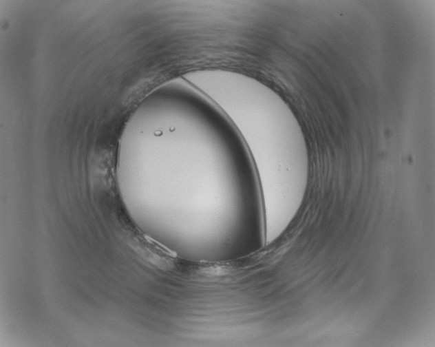 X0000073850237200608101233