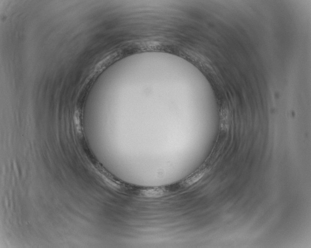 X0000073850238200608101233