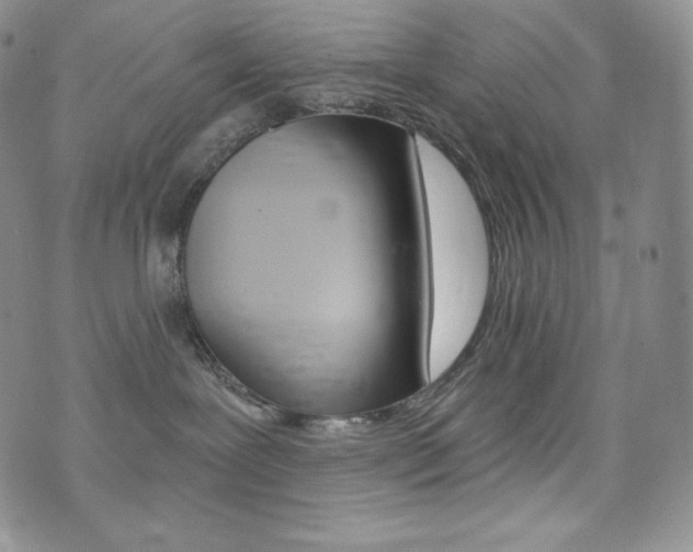 X0000073850239200608101233