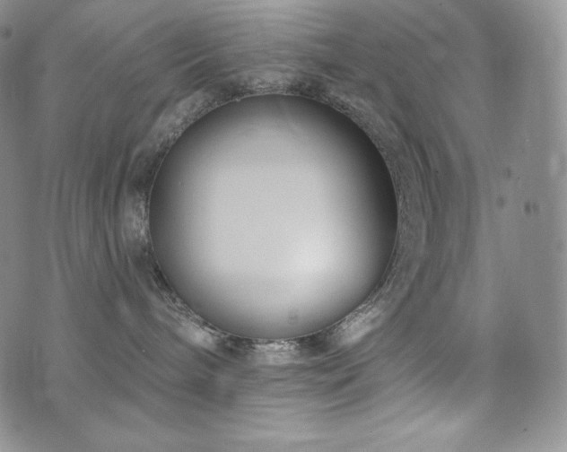 X0000073850240200608101233