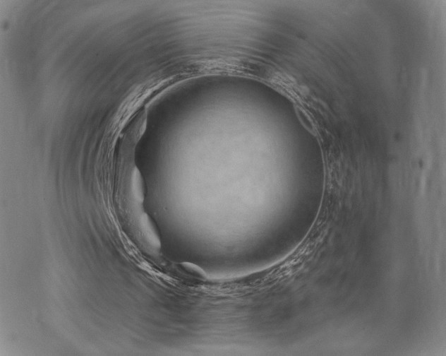 X0000073850241200608101232