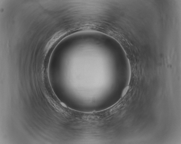 X0000073850242200608101232