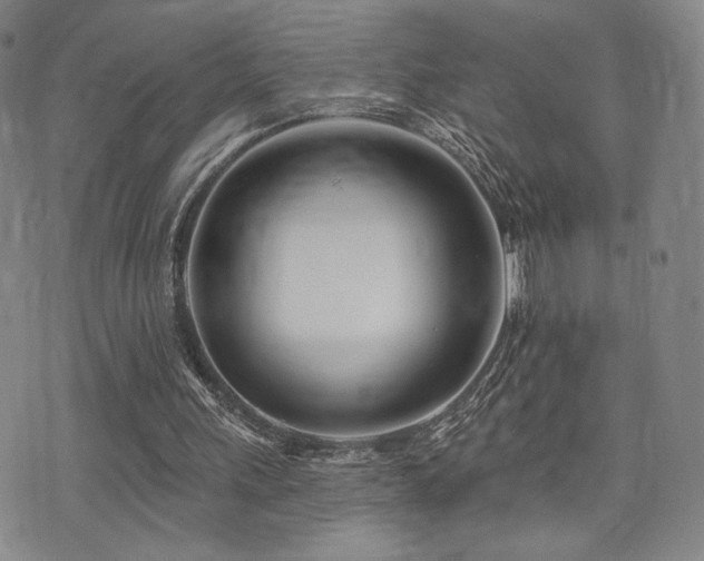 X0000073850243200608101232