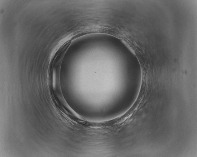 X0000073850244200608101232