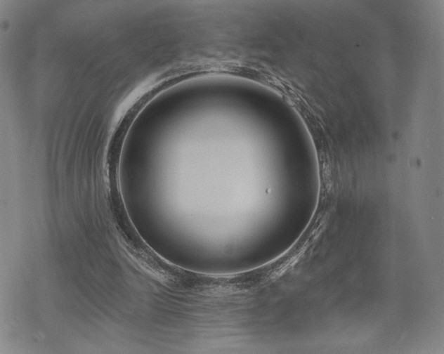 X0000073850246200608101232