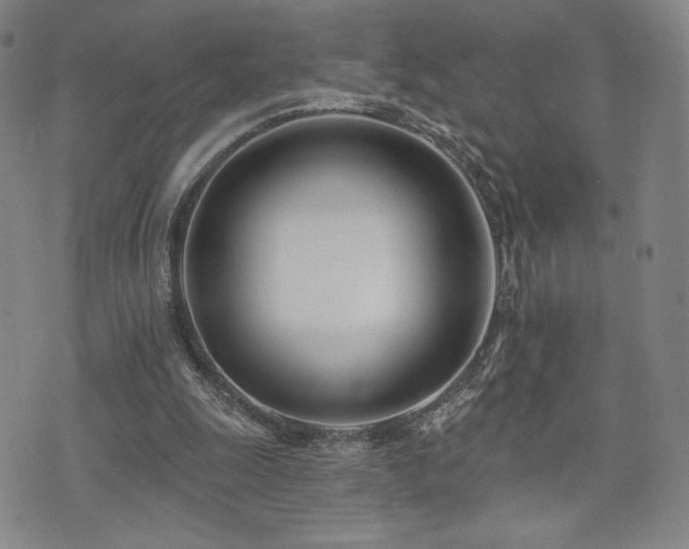 X0000073850247200608101232