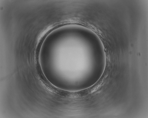 X0000073850248200608101232