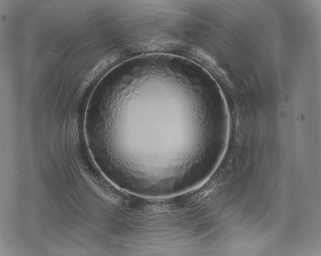 X0000073850250200608101232