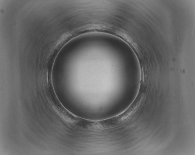 X0000073850253200608101232