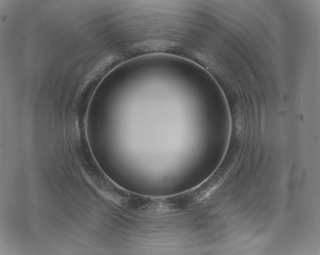 X0000073850254200608101232