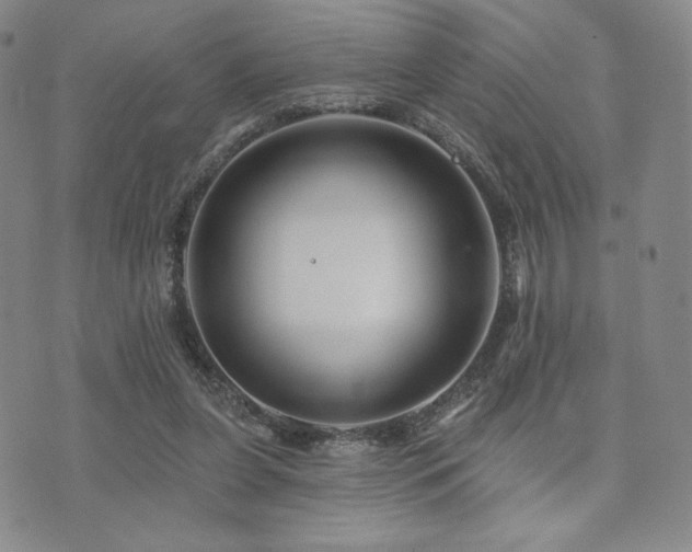 X0000073850255200608101232