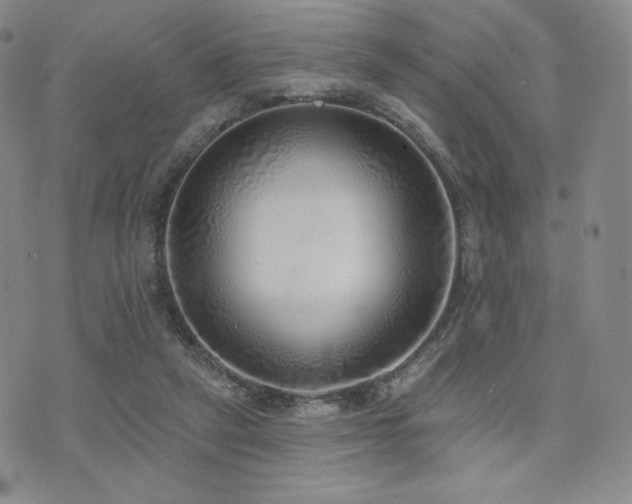 X0000073850257200608101232