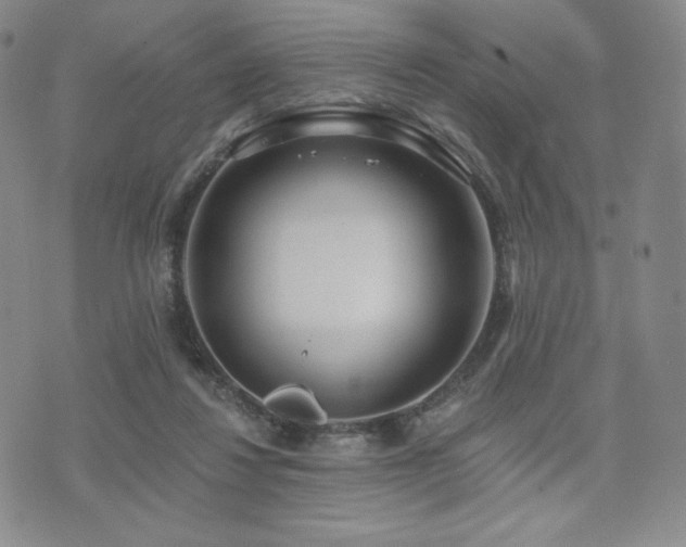 X0000073850260200608101232