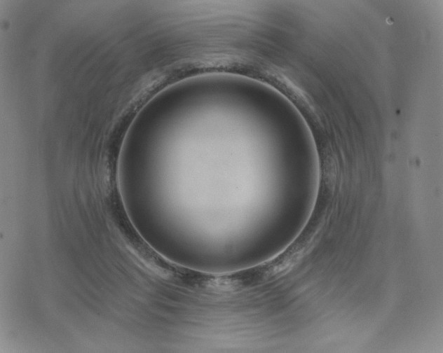 X0000073850261200608101232