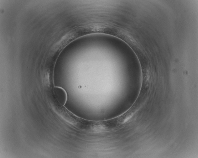 X0000073850262200608101232