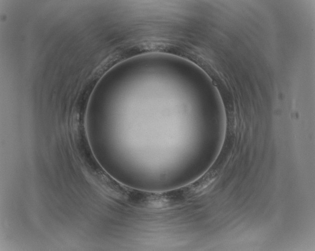 X0000073850263200608101233