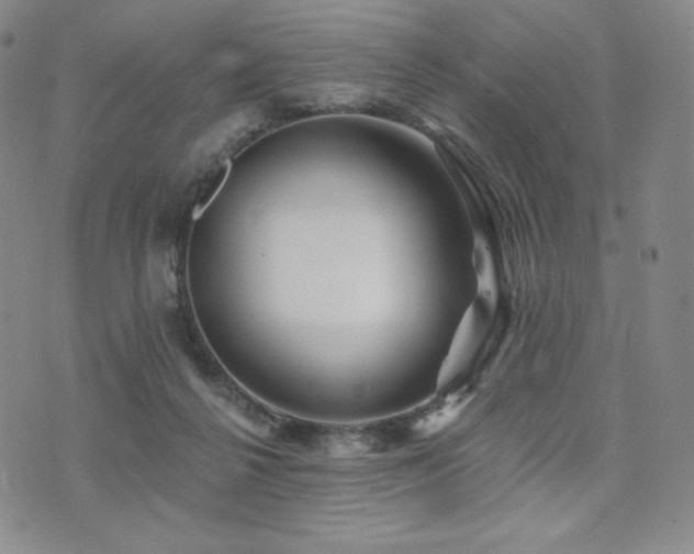 X0000073850264200608101233