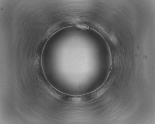 X0000073850265200608101233