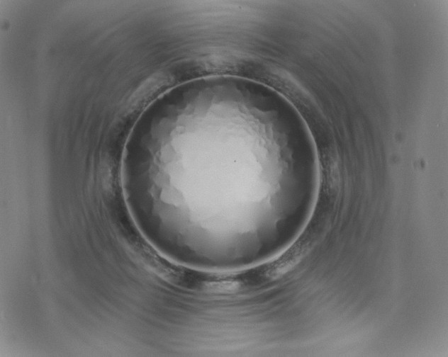 X0000073850266200608101233