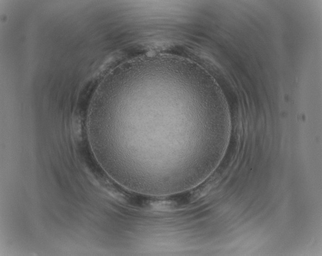 X0000073850268200608101233