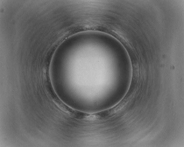 X0000073850269200608101233