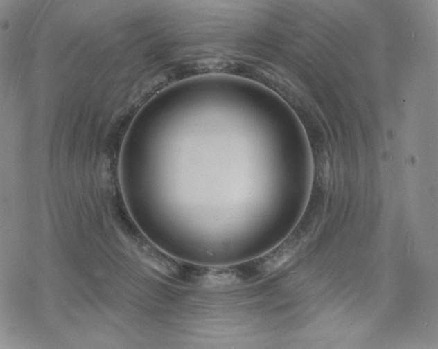 X0000073850270200608101233