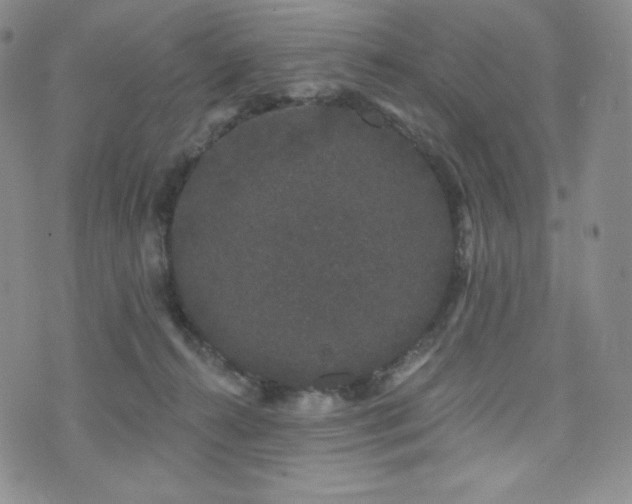 X0000073850272200608101233