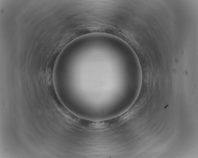 X0000073850273200608101233