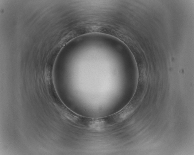 X0000073850274200608101233