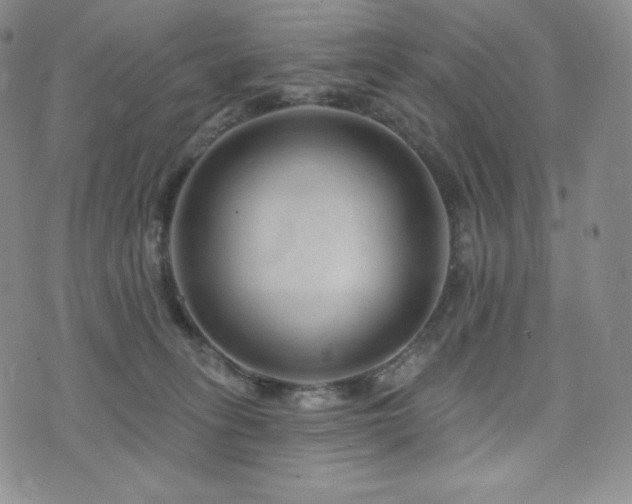 X0000073850275200608101233