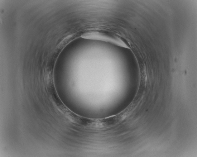 X0000073850276200608101233