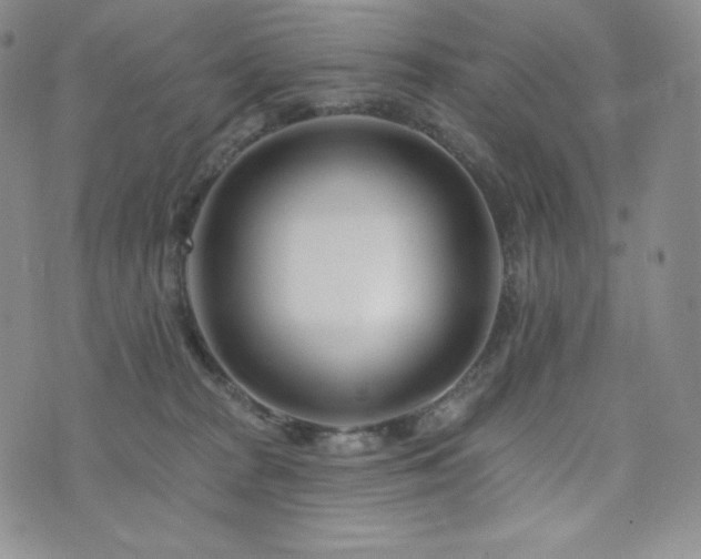 X0000073850277200608101233