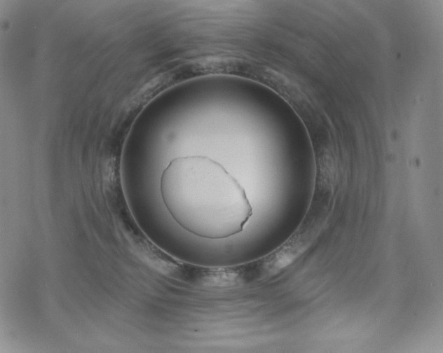 X0000073850278200608101233