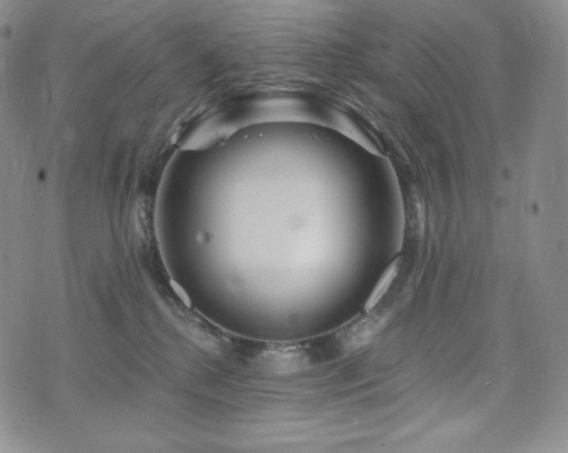 X0000073850280200608101233