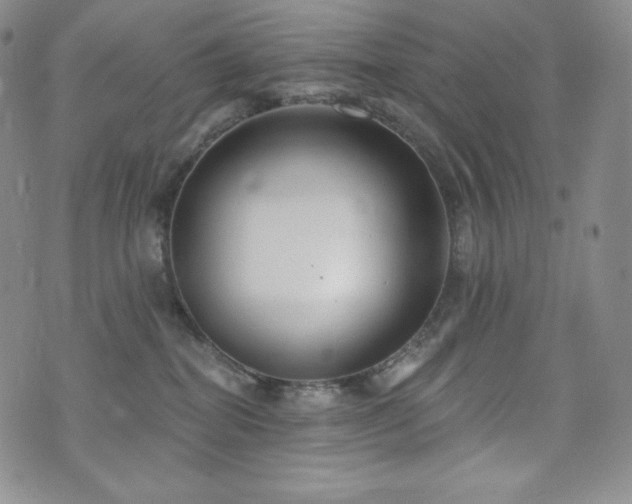 X0000073850282200608101233