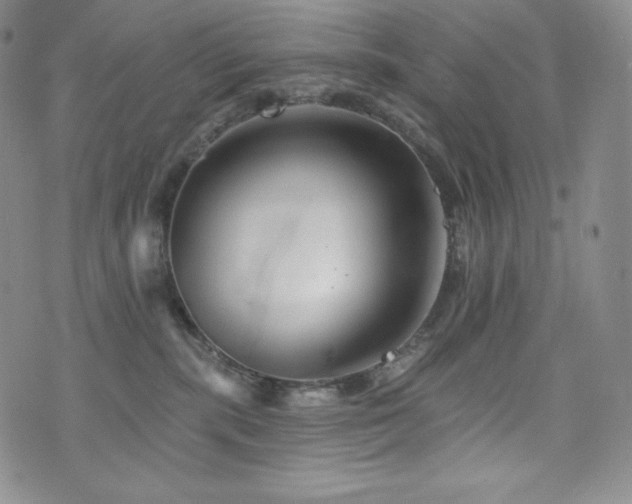 X0000073850283200608101233