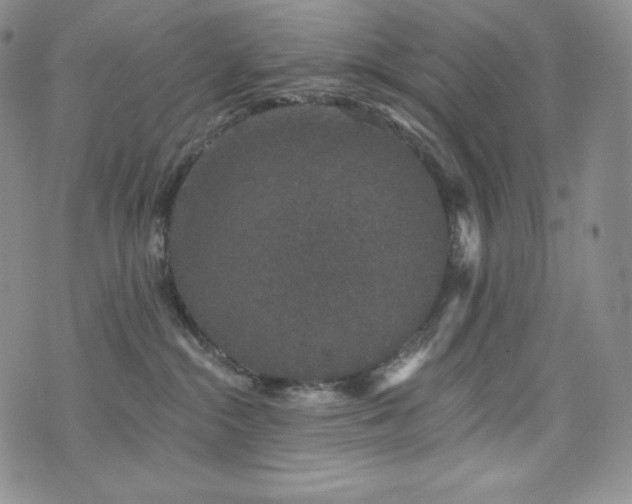 X0000073850284200608101233