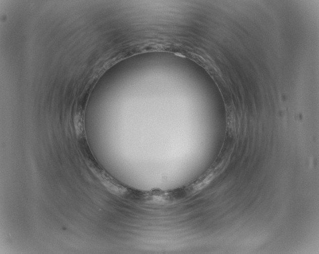 X0000073850285200608101233