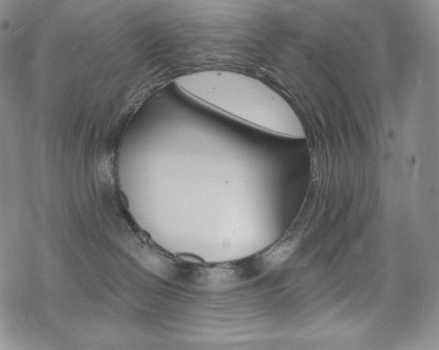 X0000073850286200608101233