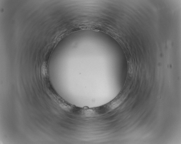 X0000073850287200608101233