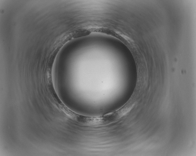 X0000073850288200608101233