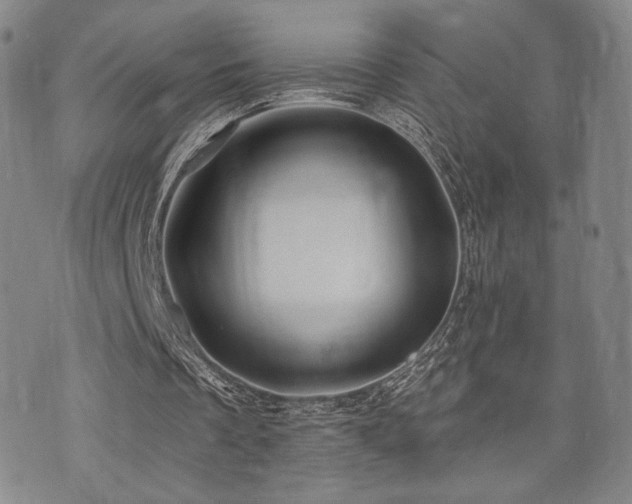 X0000073850289200608101232