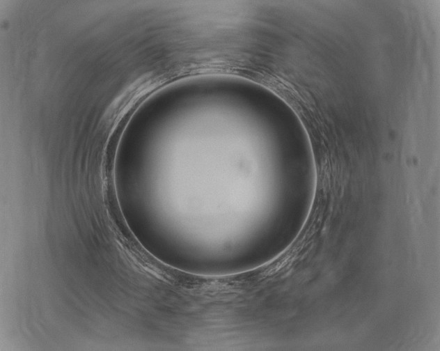 X0000073850290200608101232